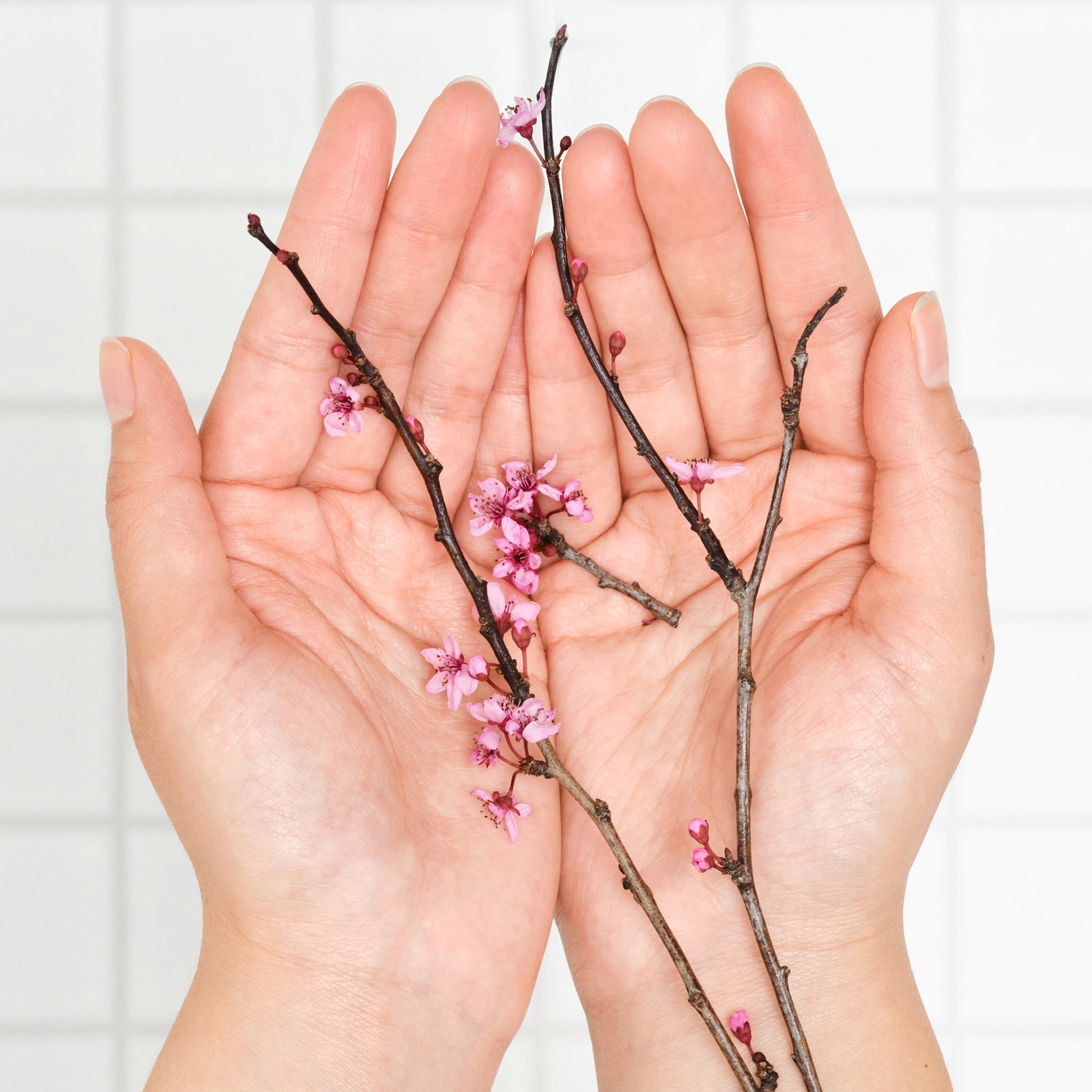 Cherry Blossom - Pure-Castile Magic Soap - Image 11